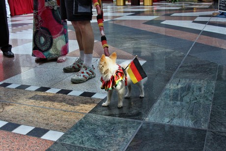 csd