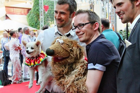 csd