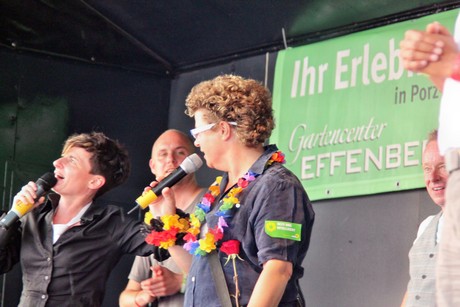csd