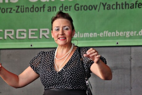 csd