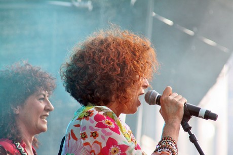csd