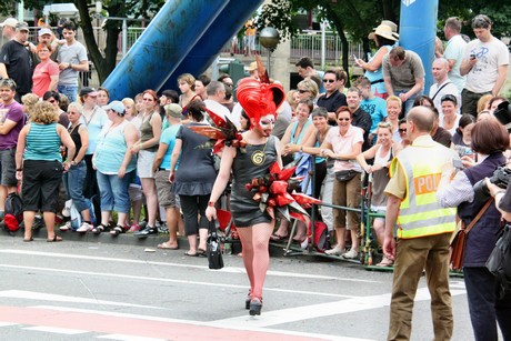 csd
