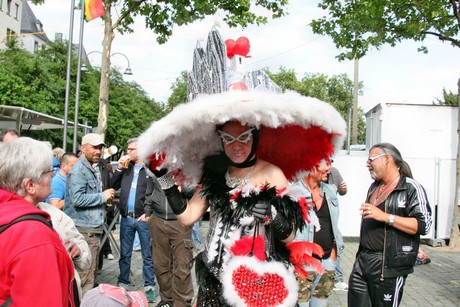csd