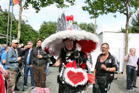 csd