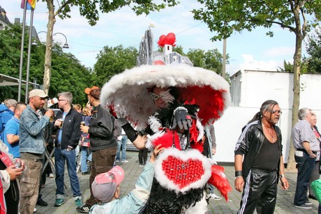 csd
