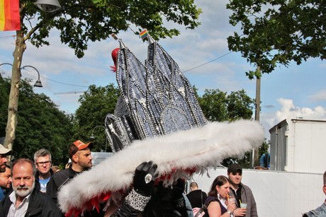 csd