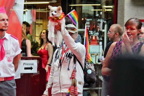 csd
