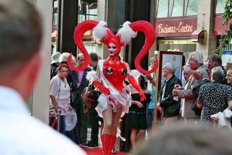 csd