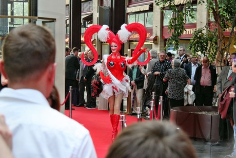 csd