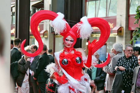 csd