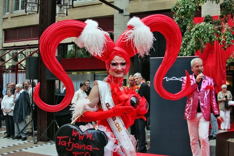 csd