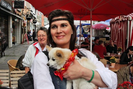 csd