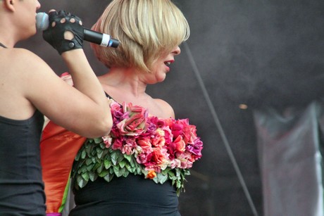 csd