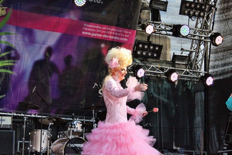 csd