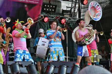 csd