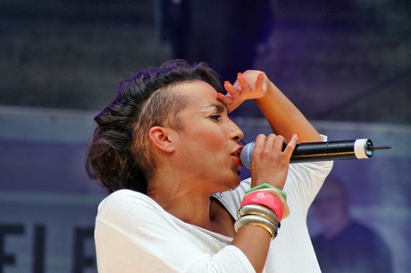 csd-2012