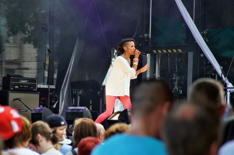 csd-2012