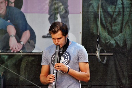 csd-2012