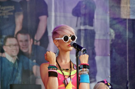 csd-2012