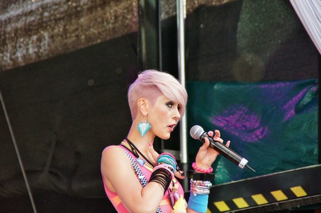 csd-2012