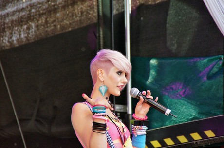 csd-2012