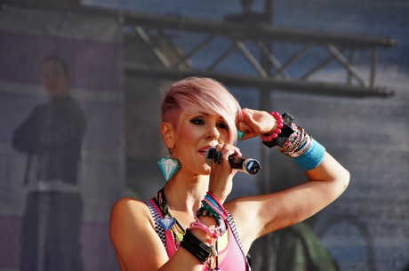 csd-2012