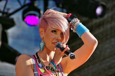 csd-2012