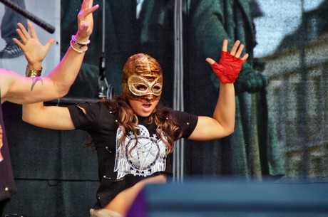csd-2012