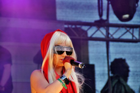 csd-2012