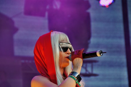 csd-2012