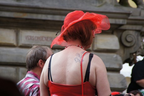 csd-2012