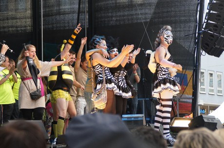 csd-2012