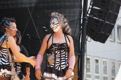 csd-2012