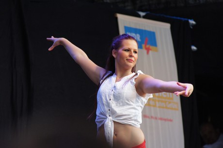 csd-2012