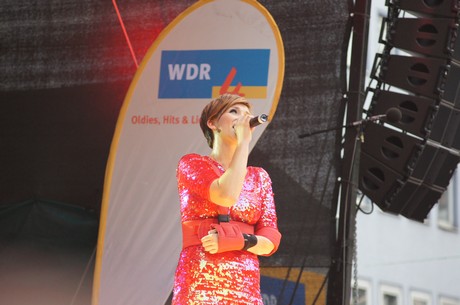 csd-2012