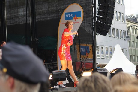 csd-2012