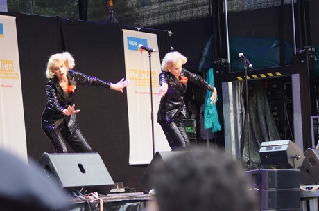 csd-2012