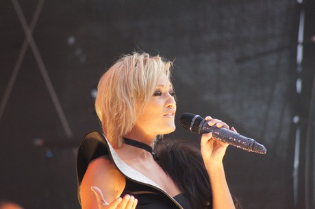 csd-2012
