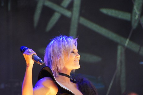 csd-2012