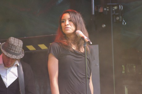 csd-2012