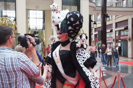 csd