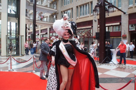 csd