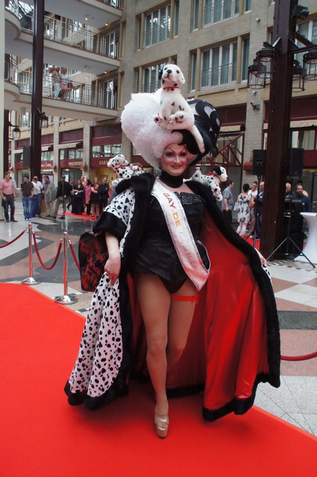 csd