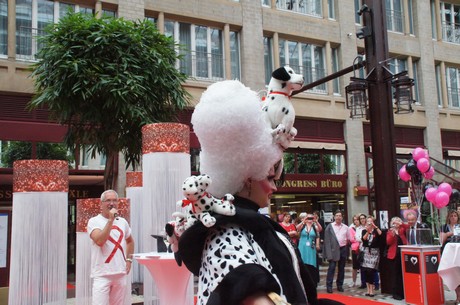 csd