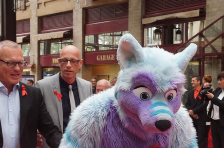 csd