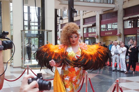 csd
