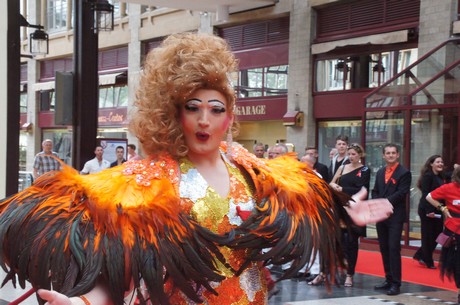 csd