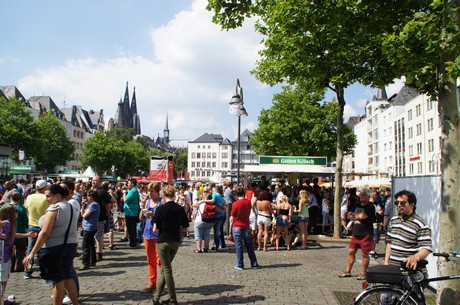 csd