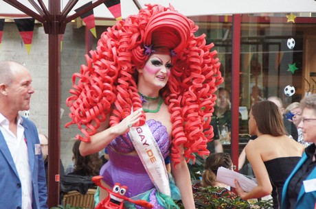 csd-2014