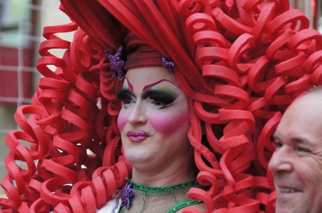 csd-2014